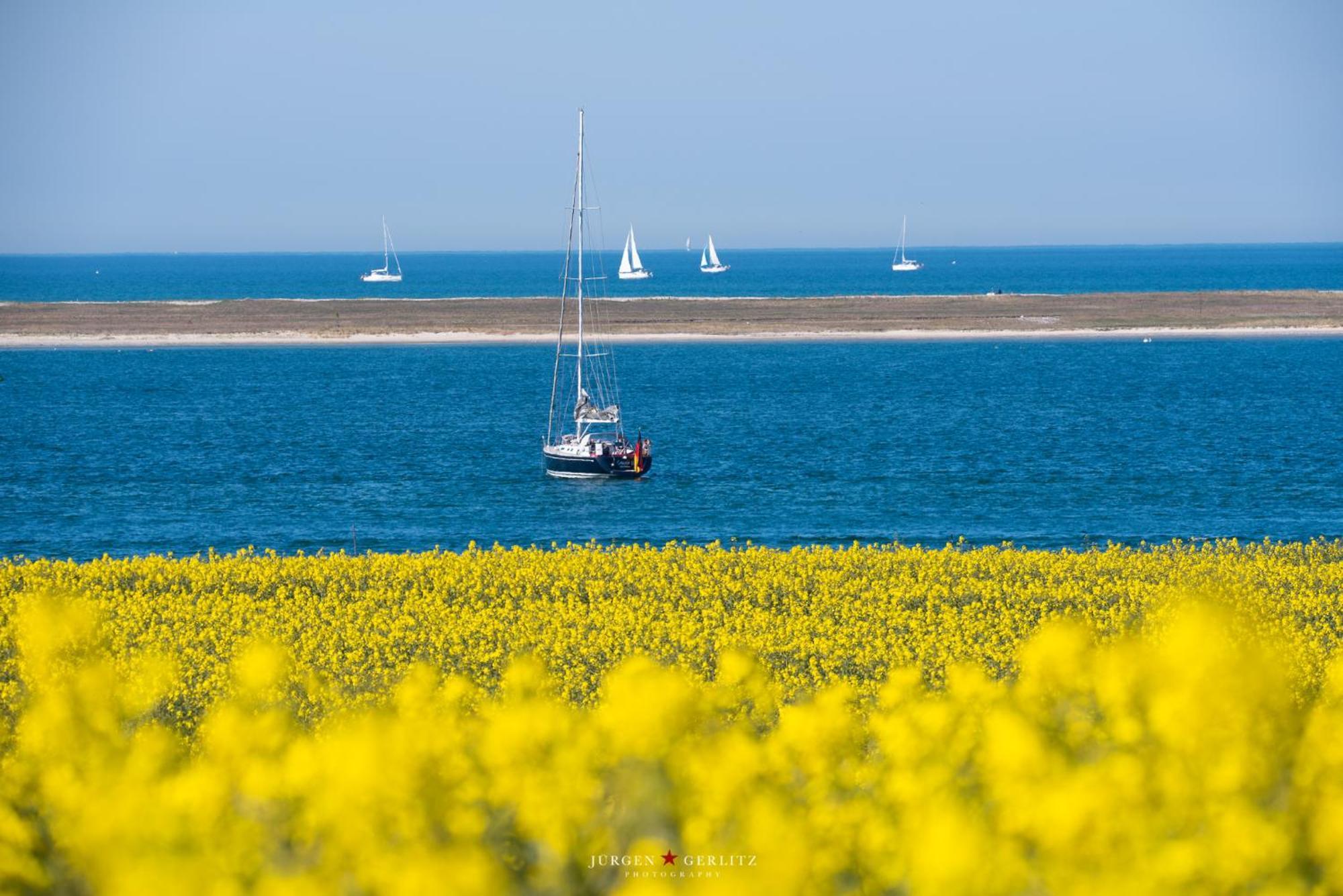 Urlaub Mit Ostseeblick, Schwimmbad, Sauna & Direkte Strandlage Kronsgaard Exteriér fotografie