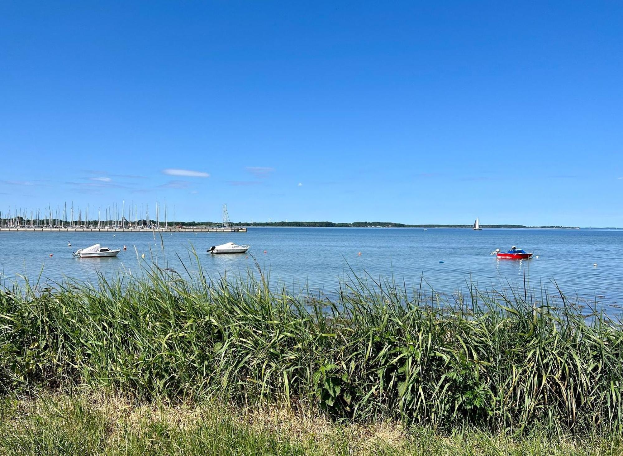 Urlaub Mit Ostseeblick, Schwimmbad, Sauna & Direkte Strandlage Kronsgaard Exteriér fotografie